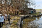 Guided Landscape Walk of Staatsburgh's Grounds: What You See and What You Don't See